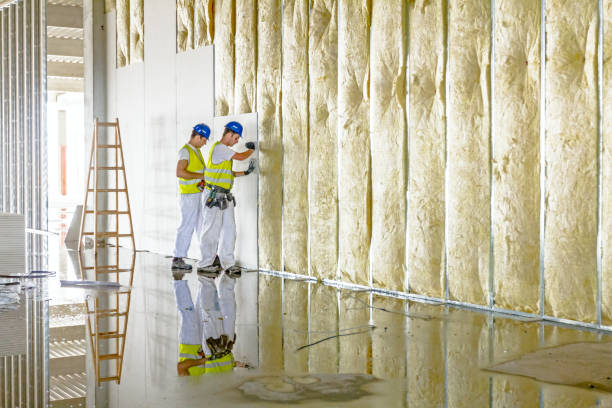 Best Insulation for Specific Applications in USA